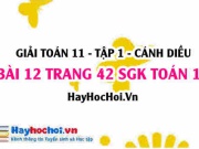 Giải bài 12 trang 42 Toán 11 tập 1 SGK Cánh Diều